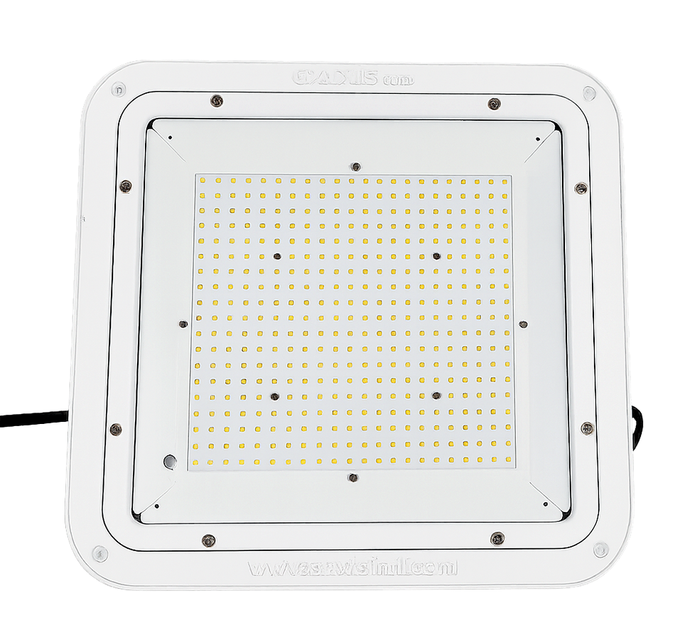 LED Canopy Lights Halo Series